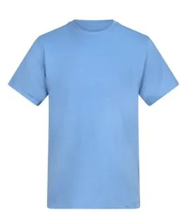 Cornflower Blue