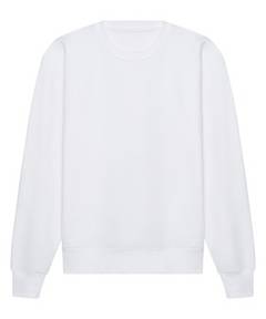 Arctic White